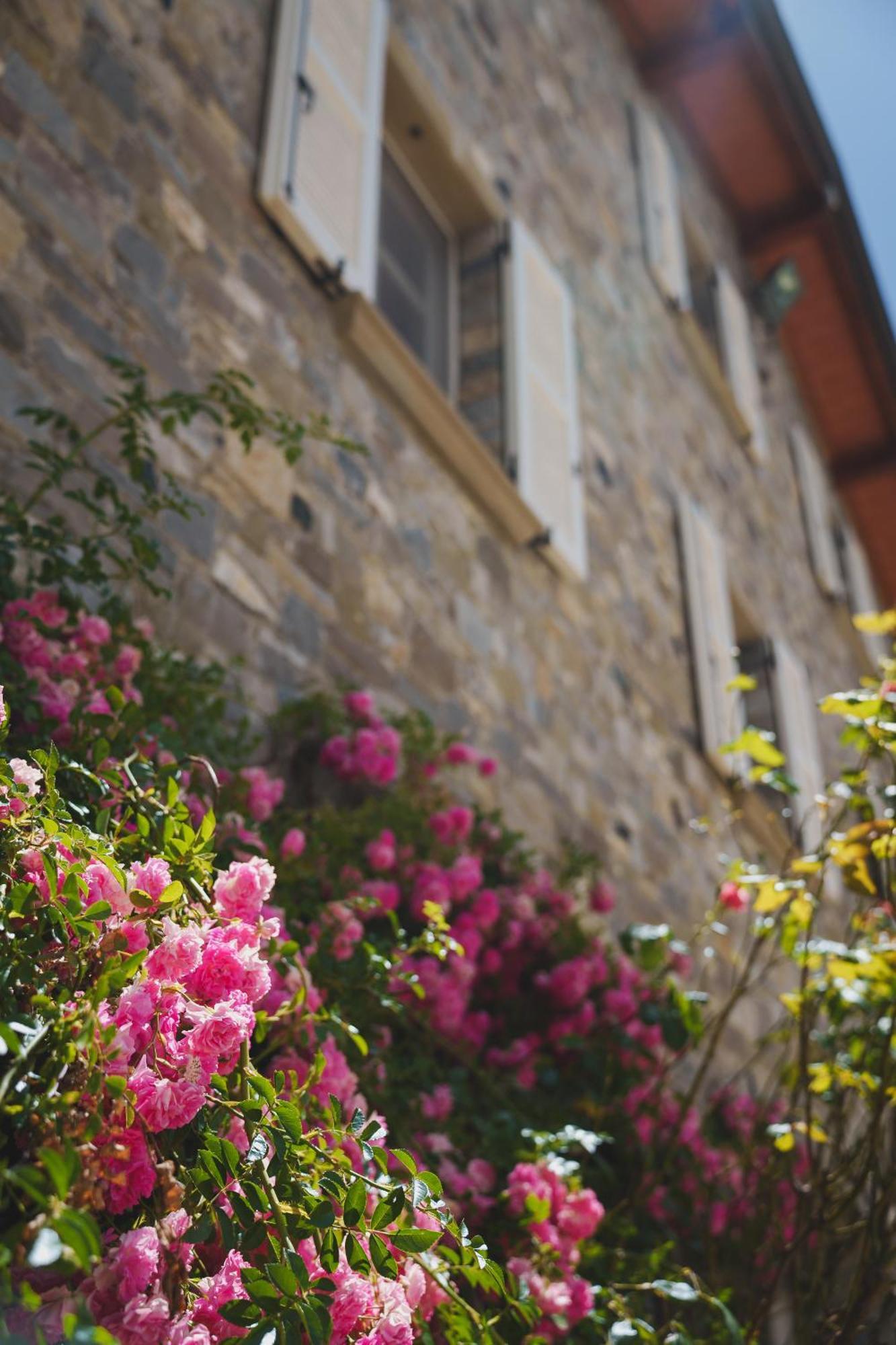 B&B La Rasora Fornovo di Taro Esterno foto