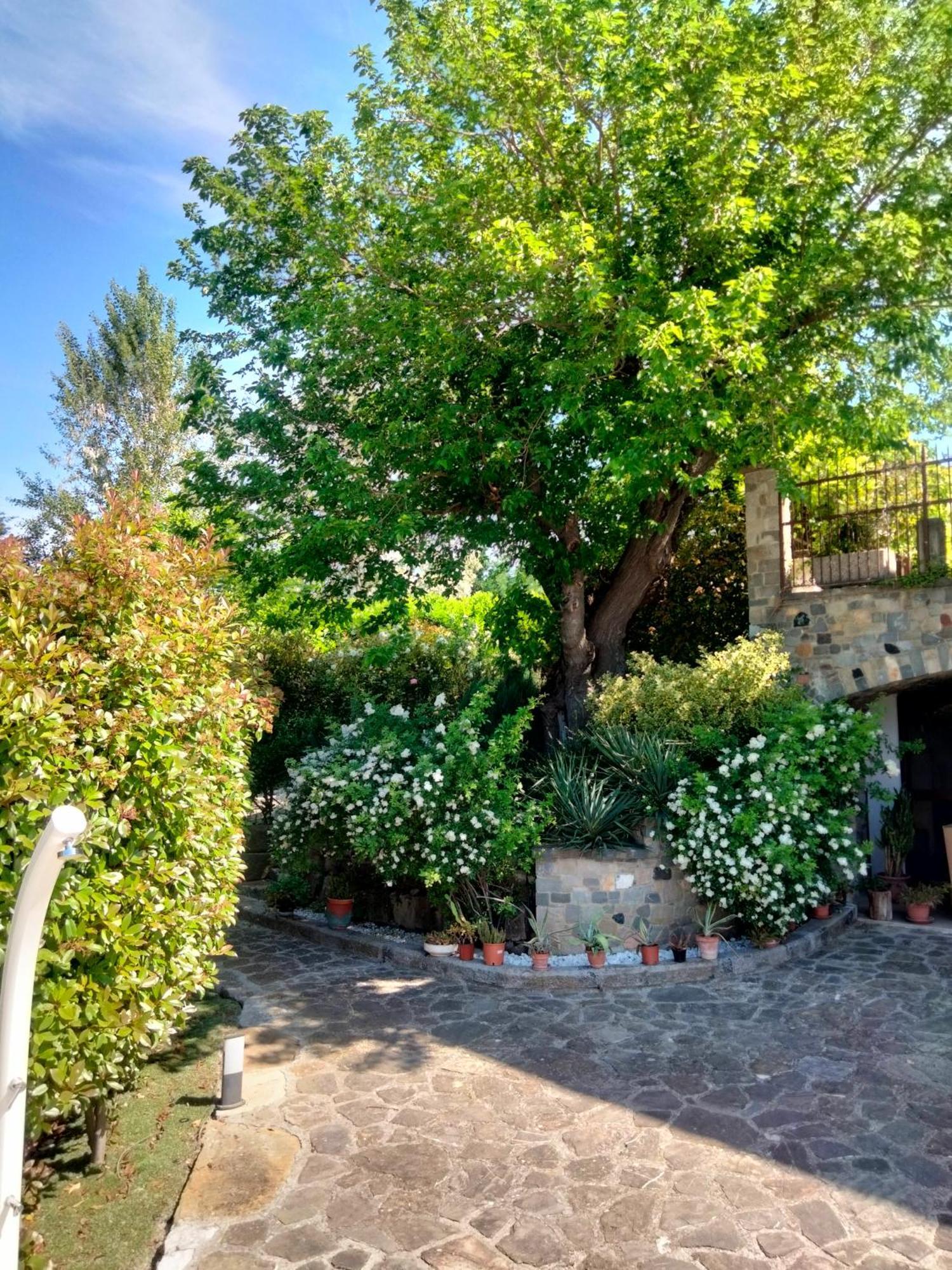 B&B La Rasora Fornovo di Taro Esterno foto